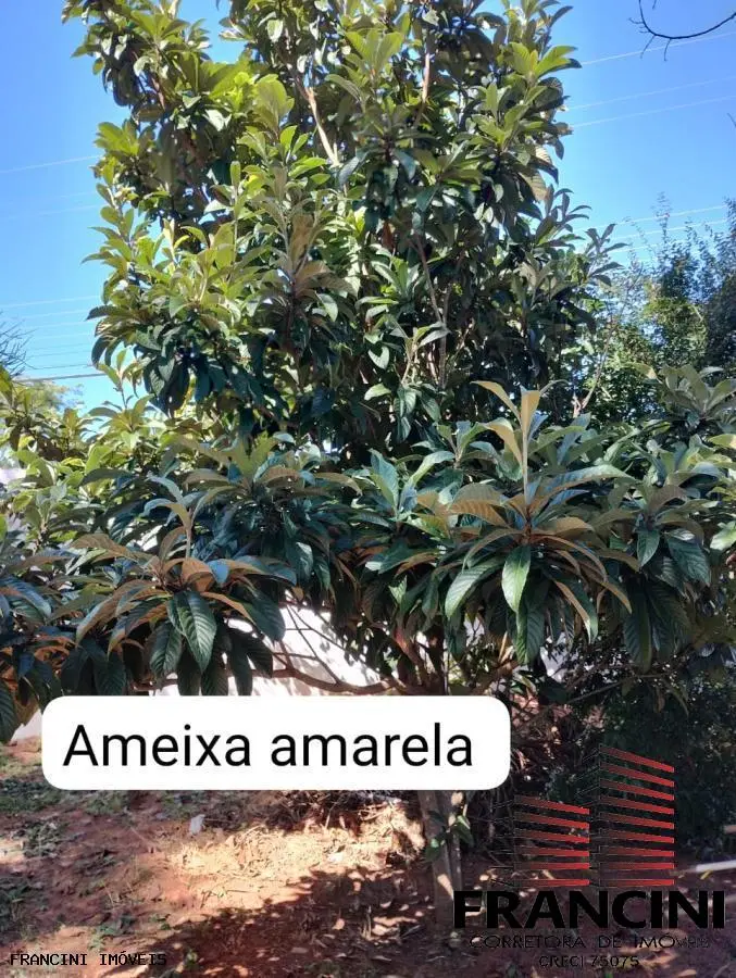 Chácara para Venda em Bauru, VALE DO IGAPÓ, 2 dormitórios, 1 suíte, 3 banheiros, 3 vagas