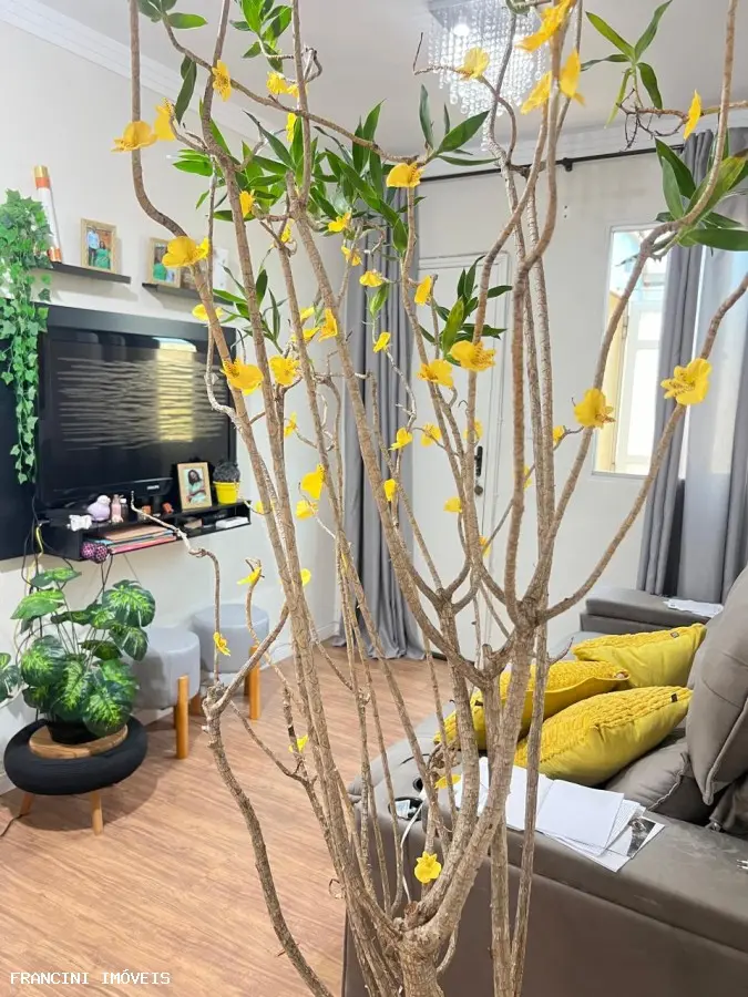 Apartamento para Venda em Bauru, Vila Cardia, 2 dormitórios, 1 banheiro, 1 vaga