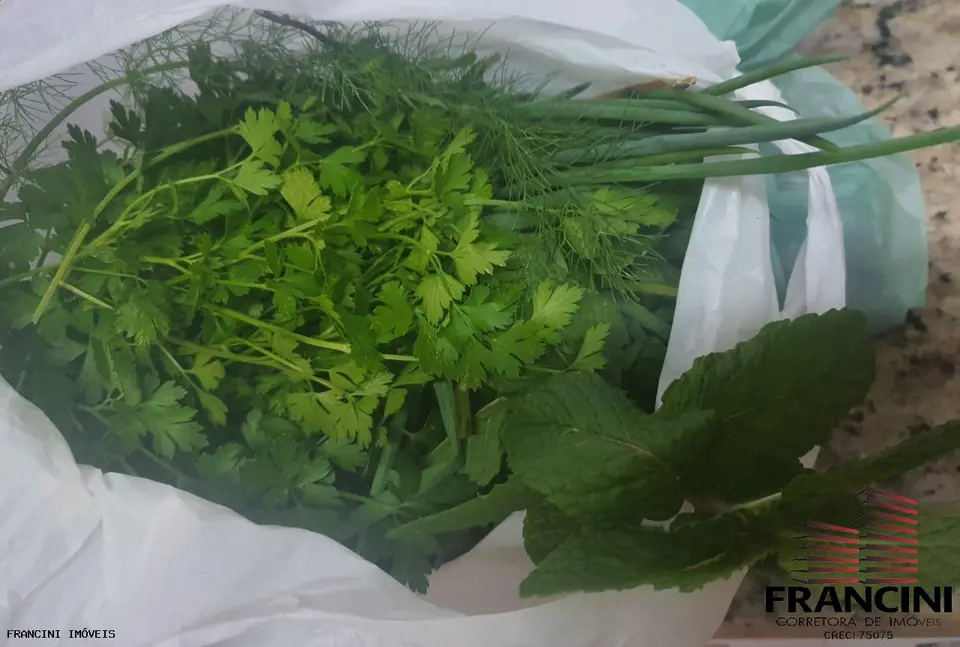 Chácara para Venda em Bauru, CHÁCARA VALE DO IGAPÓ, 1 dormitório, 1 suíte, 2 vagas